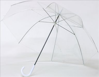 UMBRELLA TRANSPARENT